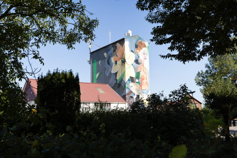 Foto 28 - Zieuwentseweg 6